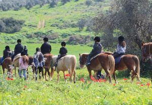 רנצ'ו מניס: חווית רכיבה על סוסים